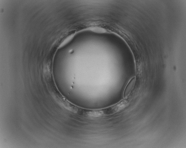 X0000076270373200610051317