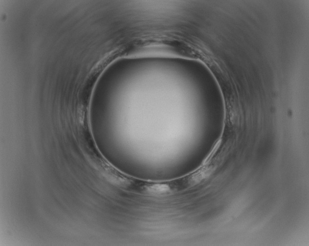 X0000076270374200610051317