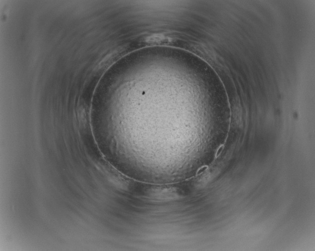 X0000076270375200610051317