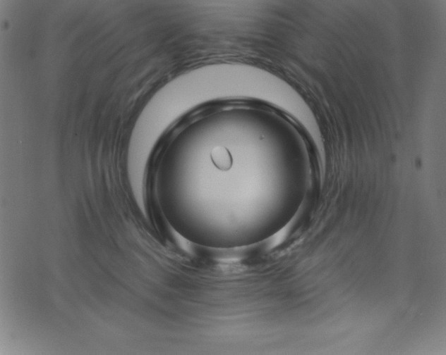 X0000076270376200610051317