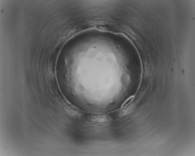 X0000076270377200610051317