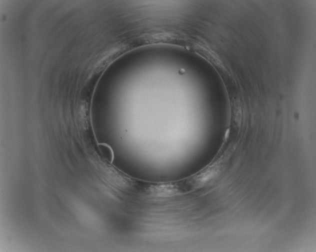 X0000076270378200610051317