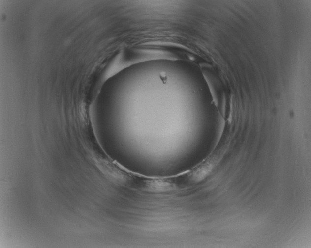 X0000076270380200610051317