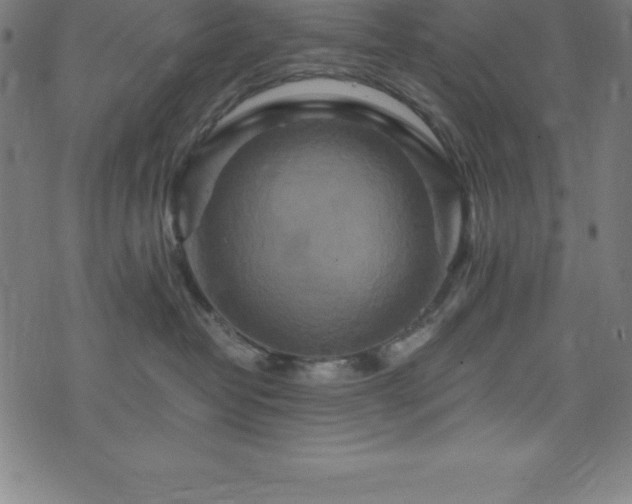 X0000076270382200610051317