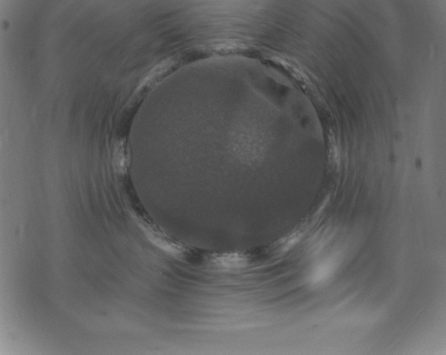 X0000076270383200610051317