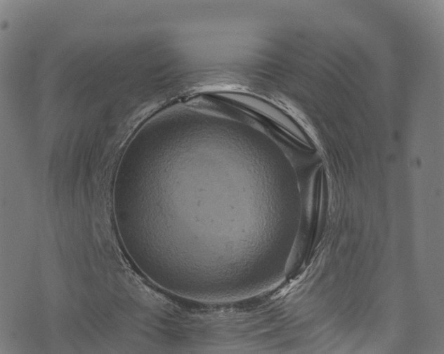 X0000076270385200610051316