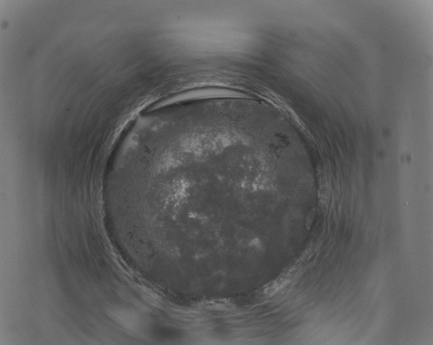 X0000076270386200610051316