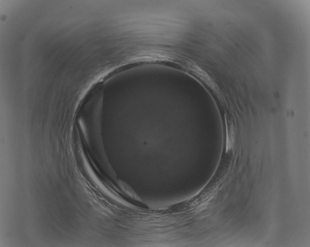 X0000076270387200610051316