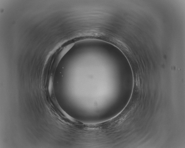 X0000076270388200610051316