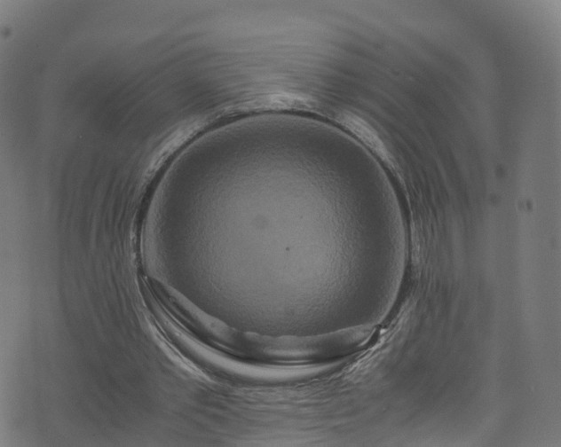 X0000076270389200610051316