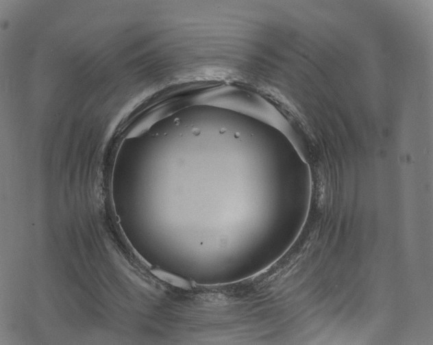 X0000076270392200610051316