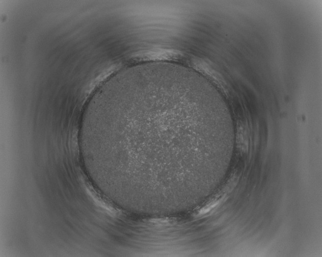 X0000076270394200610051316