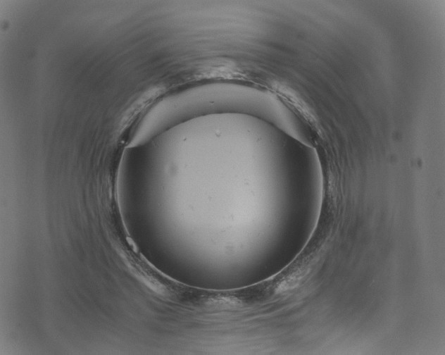 X0000076270397200610051316