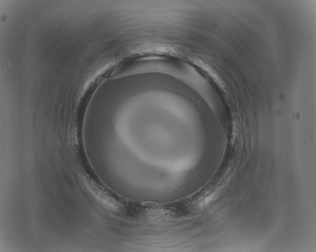 X0000076270399200610051316