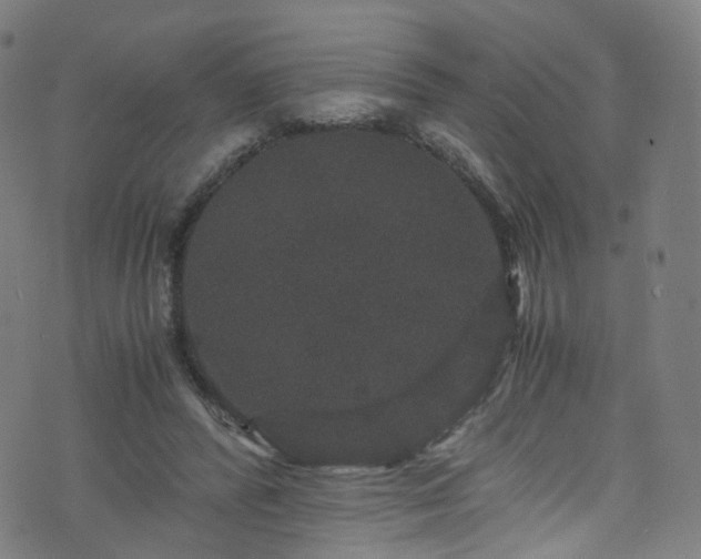 X0000076270400200610051316