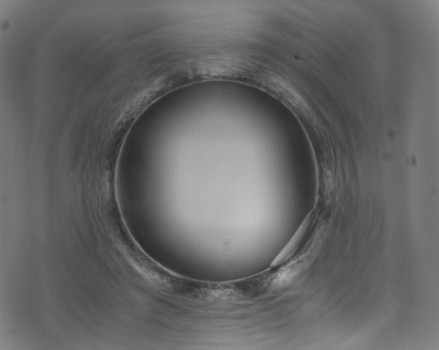 X0000076270401200610051316