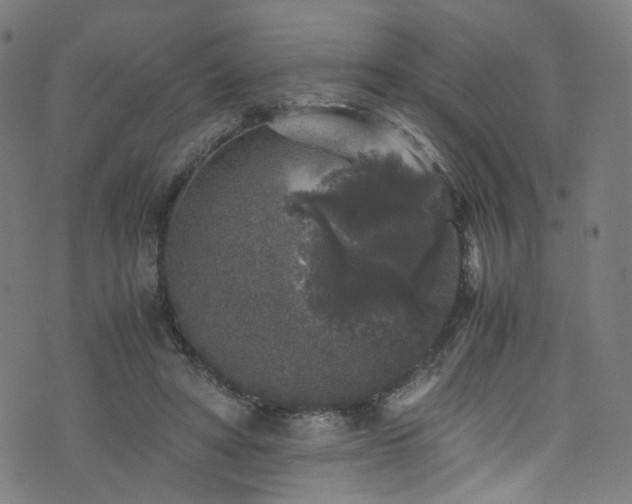 X0000076270402200610051316