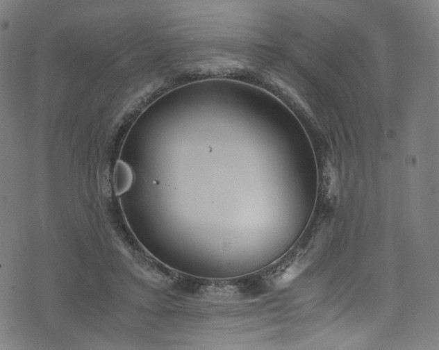 X0000076270403200610051316