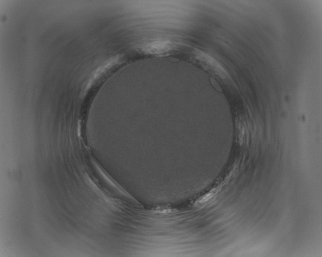 X0000076270404200610051316