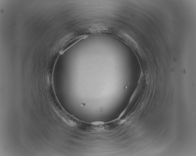 X0000076270405200610051316