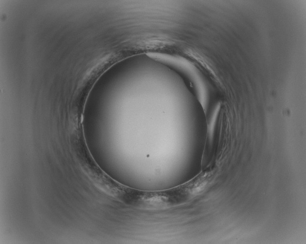 X0000076270407200610051316