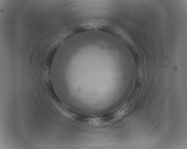 X0000076270411200610051316