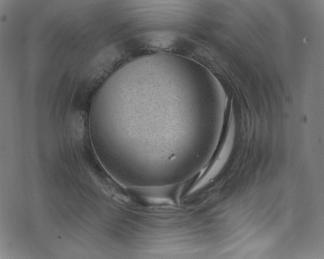 X0000076270412200610051316