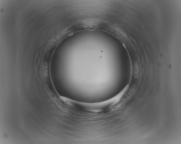 X0000076270413200610051316