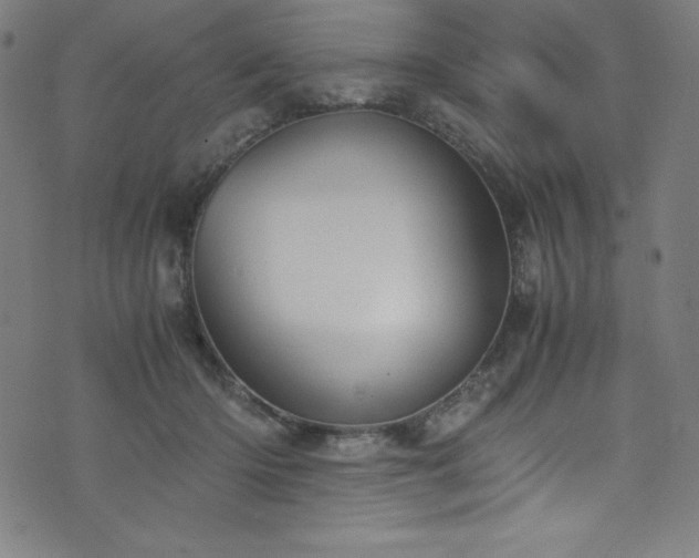 X0000076270414200610051315