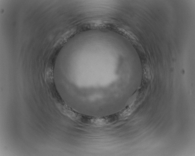 X0000076270419200610051315