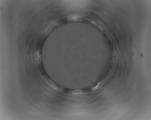 X0000076270420200610051315