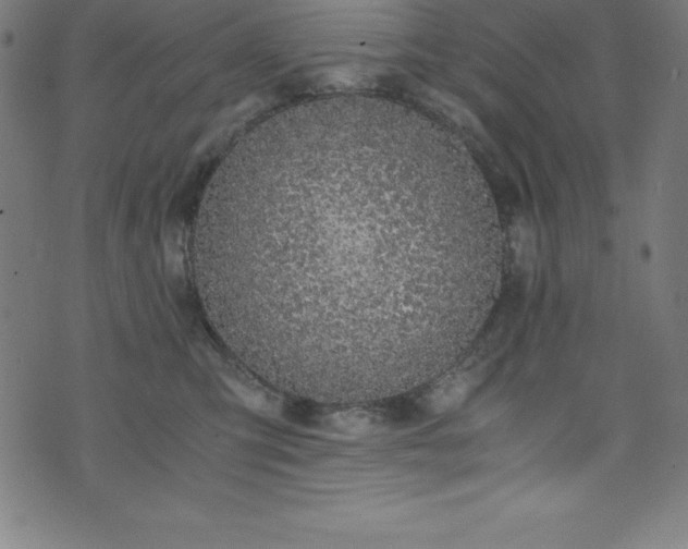 X0000076270423200610051315