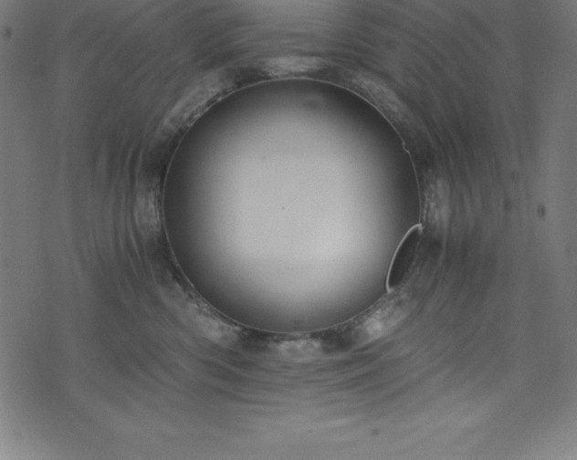 X0000076270426200610051315