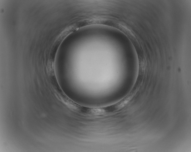 X0000076270429200610051315