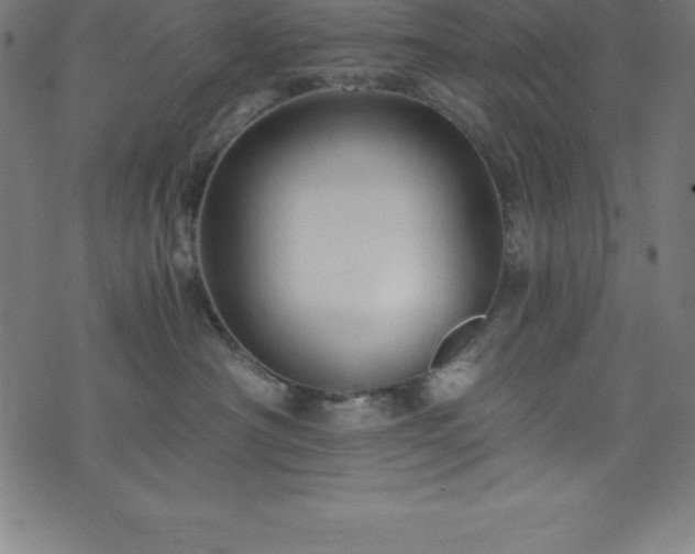 X0000076270430200610051315