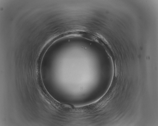 X0000076270435200610051314