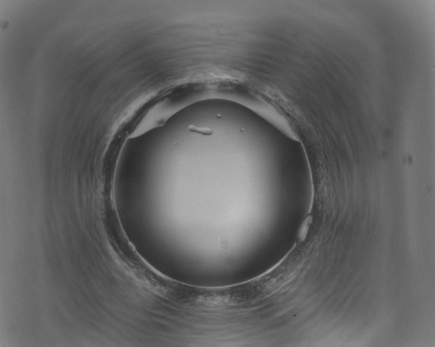 X0000076270440200610051315