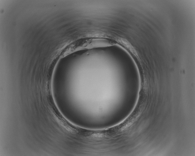 X0000076270441200610051315