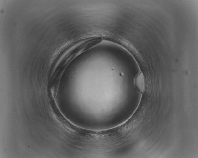 X0000076270442200610051315