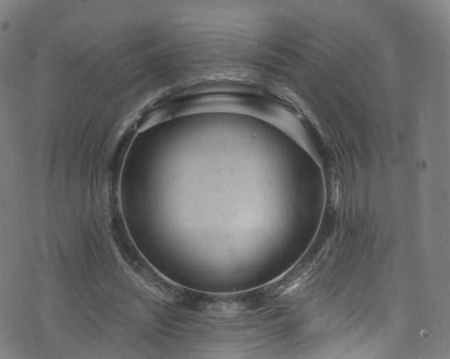 X0000076270444200610051315