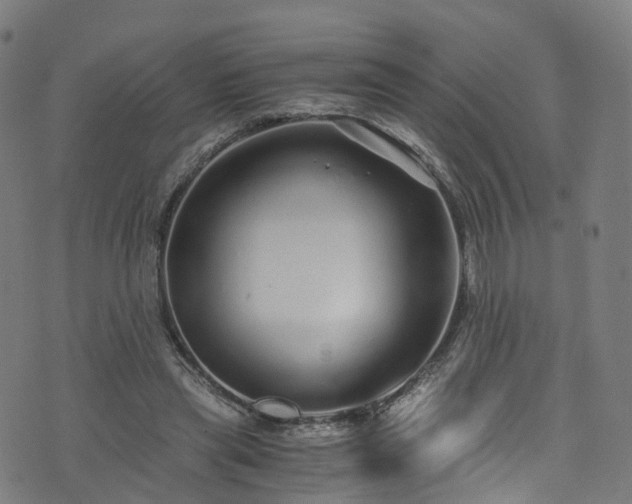 X0000076270445200610051315