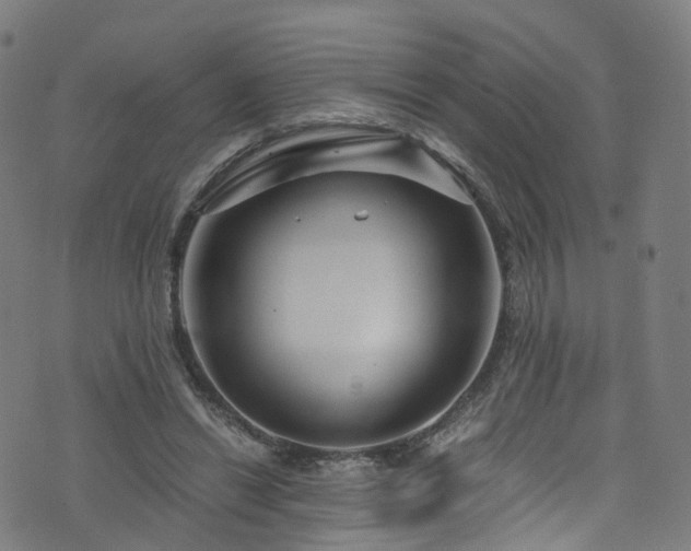 X0000076270446200610051315