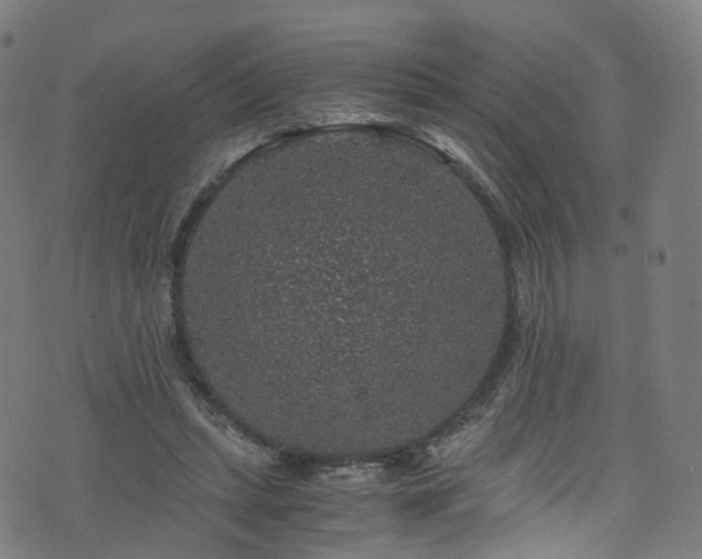 X0000076270447200610051315