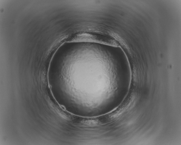 X0000076270449200610051315