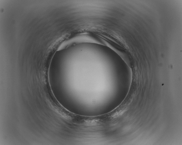 X0000076270450200610051315