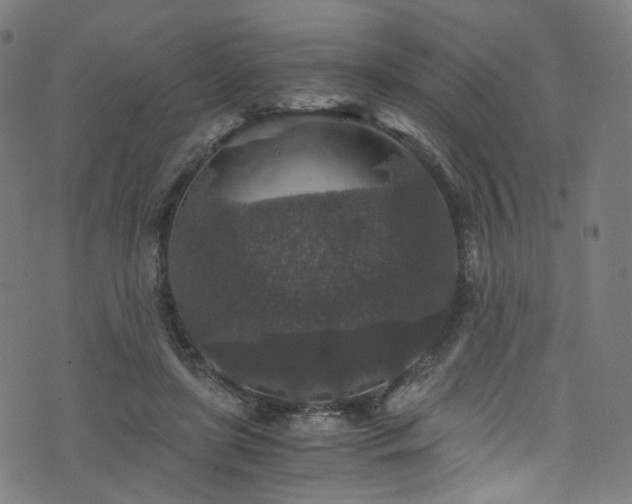 X0000076270451200610051315