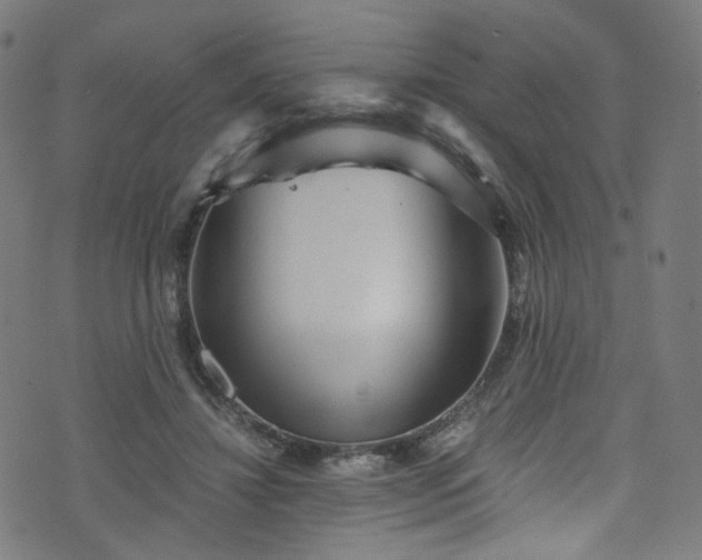 X0000076270452200610051315