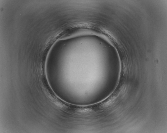 X0000076270453200610051315