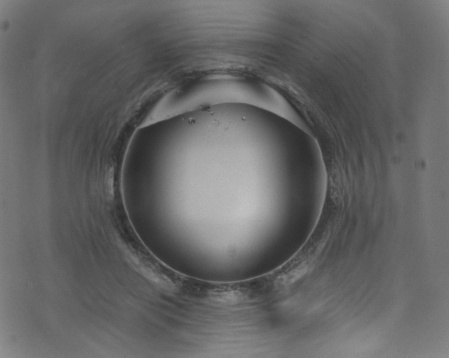 X0000076270454200610051315