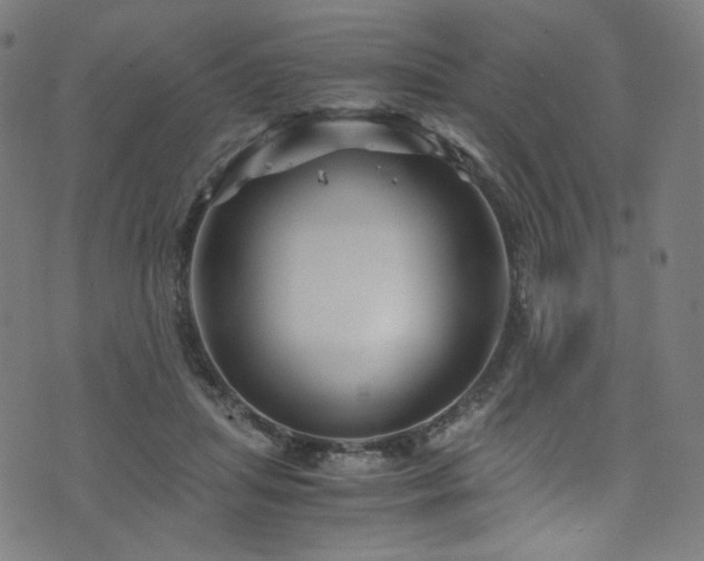 X0000076270455200610051315